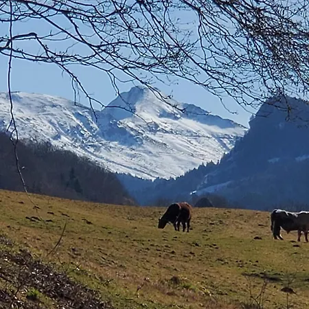 La Grange Aux Frenes -gite 6 Personnes- Tranquillite, Nature Et Confort *