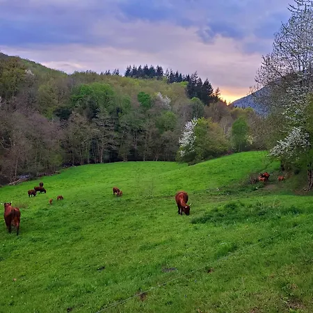 別荘 La Grange Aux Frenes -gite 6 Personnes- Tranquillite, Nature Et Confort *