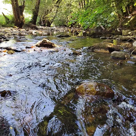 La Grange Aux Frenes -gite 6 Personnes- Tranquillite, Nature Et Confort Le Vaulmier