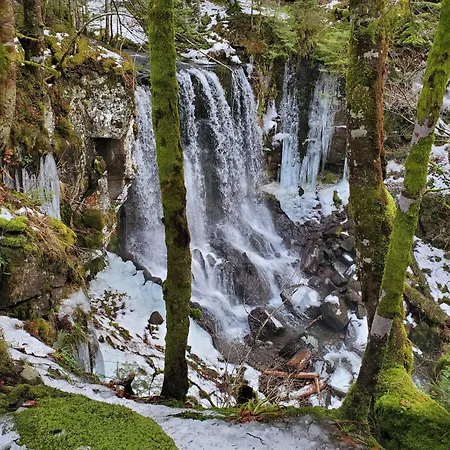 La Grange Aux Frenes -gite 6 Personnes- Tranquillite, Nature Et Confort Le Vaulmier
