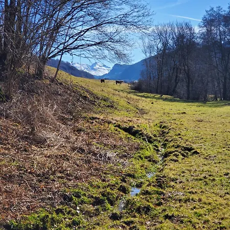 La Grange Aux Frenes -gite 6 Personnes- Tranquillite, Nature Et Confort Le Vaulmier