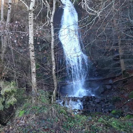 別荘 La Grange Aux Frenes -gite 6 Personnes- Tranquillite, Nature Et Confort Le Vaulmier