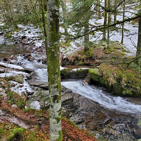 La Grange Aux Frenes -gite 6 Personnes- Tranquillite, Nature Et Confort 別荘