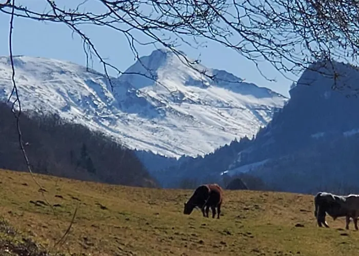 La Grange Aux Frenes -gite 6 Personnes- Tranquillite, Nature Et Confort *