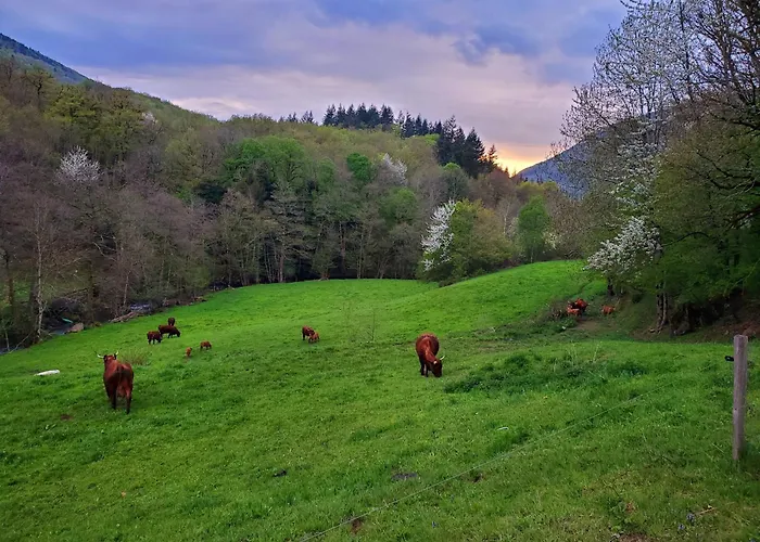 Holiday home La Grange Aux Frenes -gite 6 Personnes- Tranquillite, Nature Et Confort *