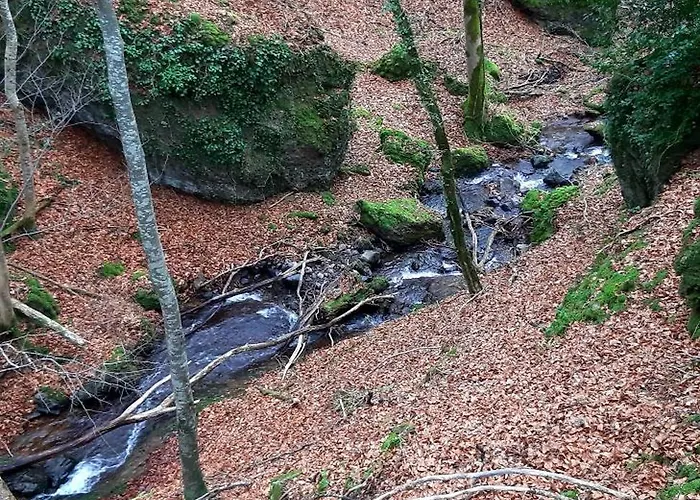 La Grange Aux Frenes -gite 6 Personnes- Tranquillite, Nature Et Confort Holiday home Le Vaulmier