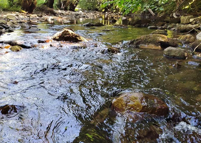 La Grange Aux Frenes -gite 6 Personnes- Tranquillite, Nature Et Confort Le Vaulmier