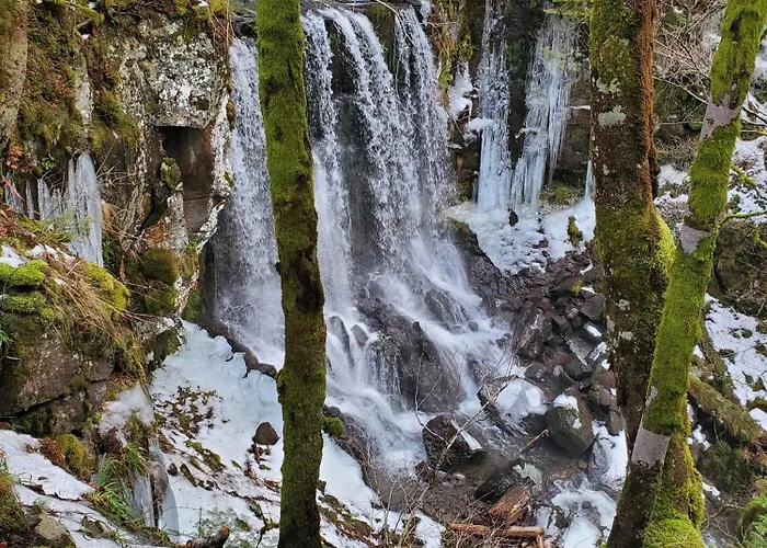 La Grange Aux Frenes -gite 6 Personnes- Tranquillite, Nature Et Confort Le Vaulmier