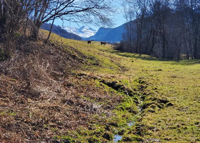 La Grange Aux Frenes -gite 6 Personnes- Tranquillite, Nature Et Confort Le Vaulmier