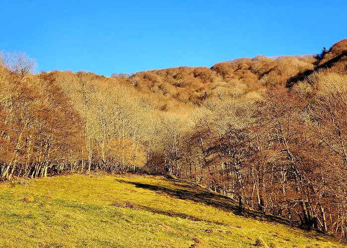 Holiday home La Grange Aux Frenes -gite 6 Personnes- Tranquillite, Nature Et Confort