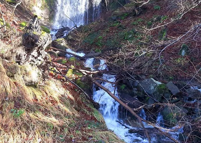 La Grange Aux Frenes -gite 6 Personnes- Tranquillite, Nature Et Confort