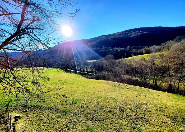 Holiday home La Grange Aux Frenes -gite 6 Personnes- Tranquillite, Nature Et Confort *