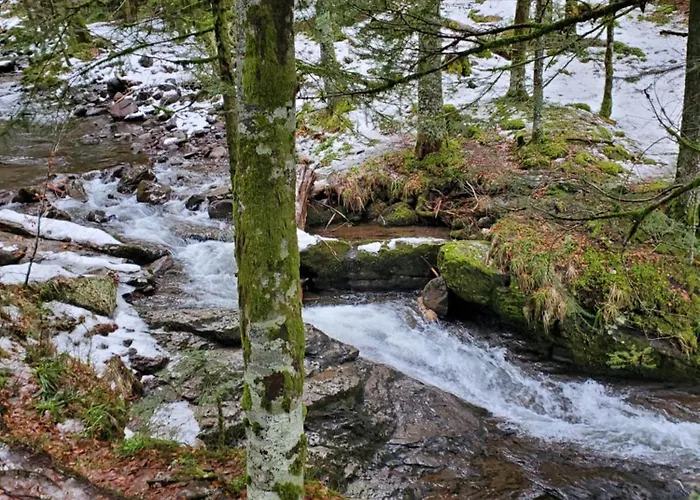 La Grange Aux Frenes -gite 6 Personnes- Tranquillite, Nature Et Confort Holiday home